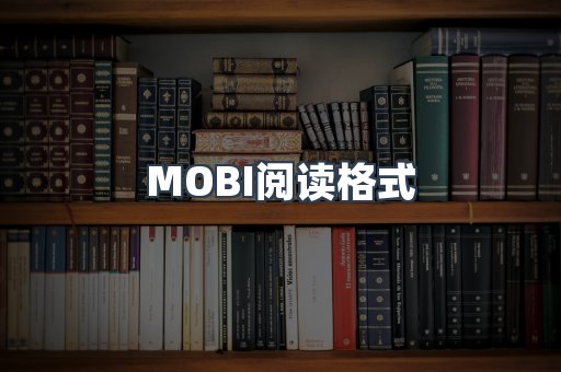 外文电子书系列
